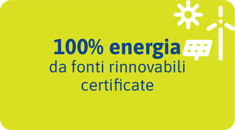fornitura 100% green
